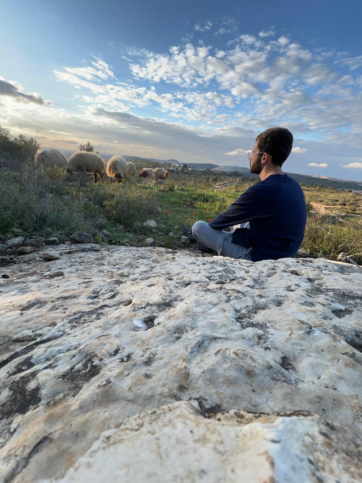 Overlooking the flock at sunset