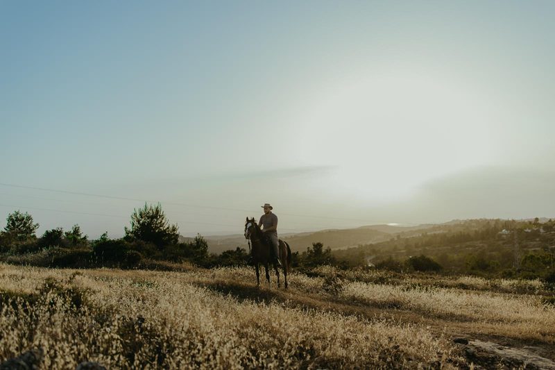 Riding out at sunset