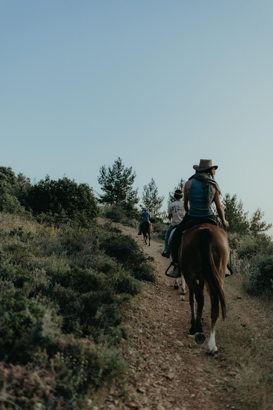 Out on the trail together