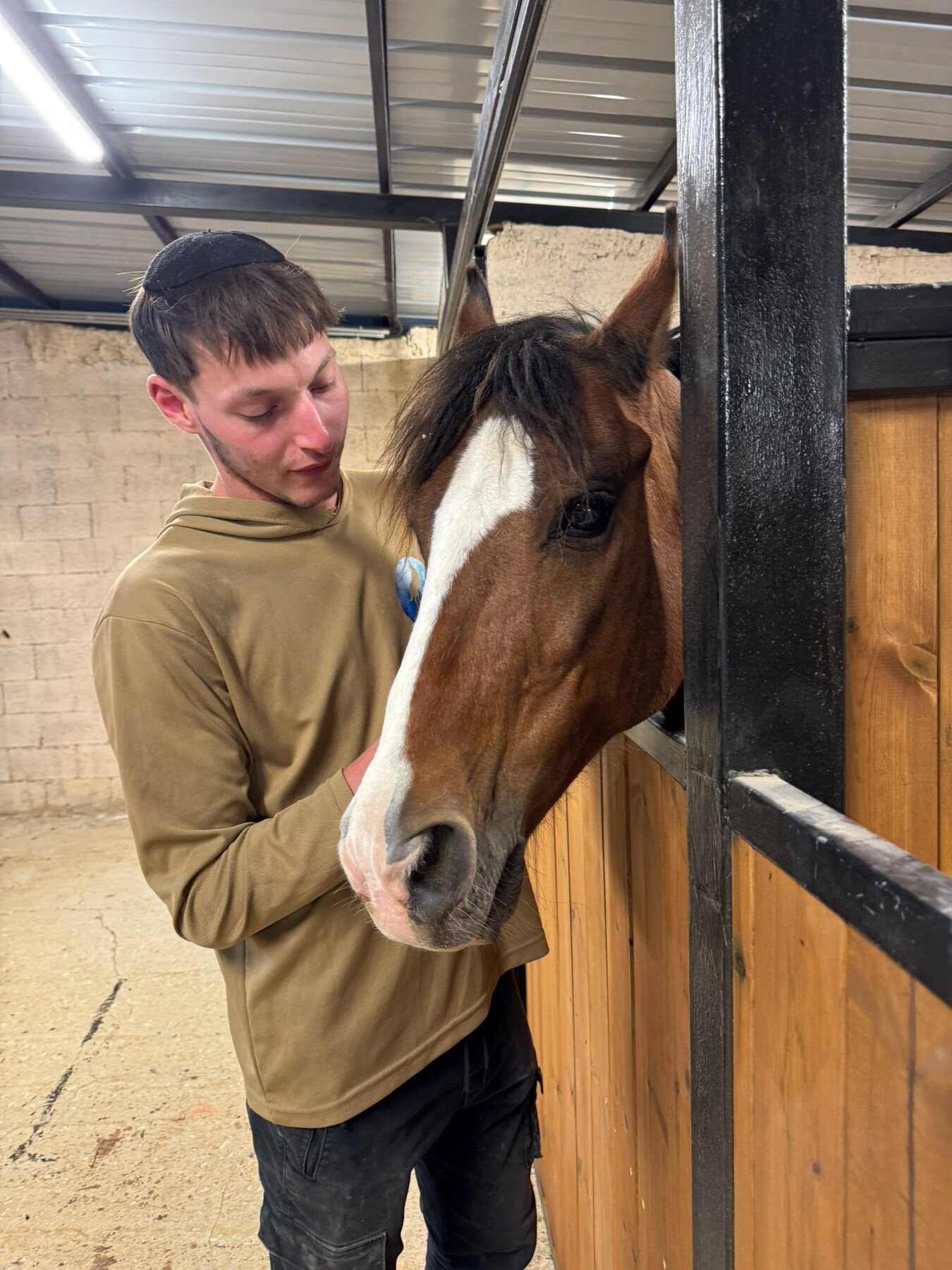Horse nuzzle in the stable