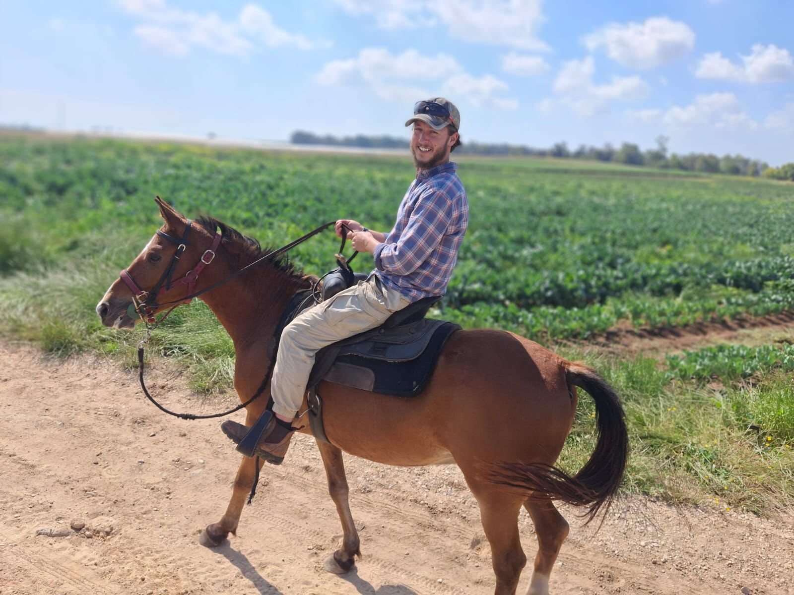Riding in the field