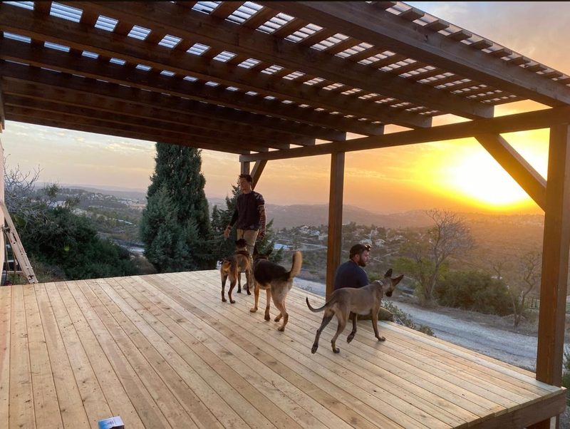 Finished deck at sunset with dogs