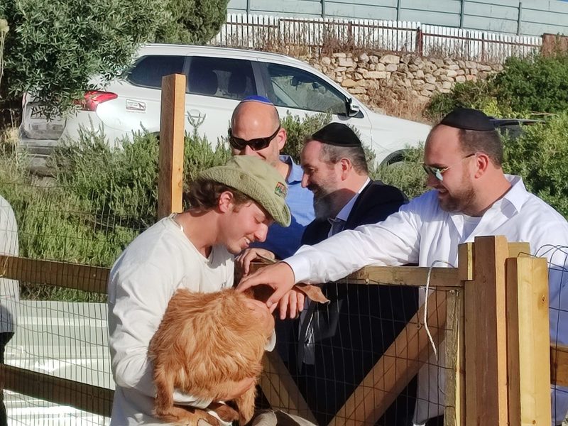 Checking out the newest arrival at the fence