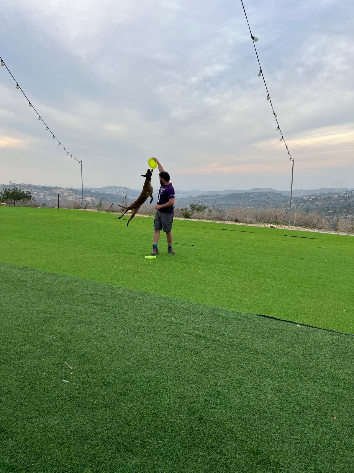 Spikeball on the lawn