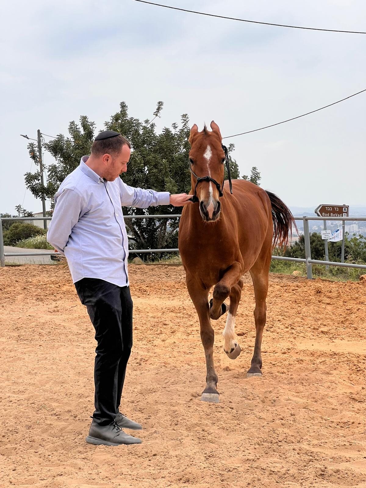 With one of the horses